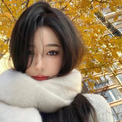 猫与苍蝇
